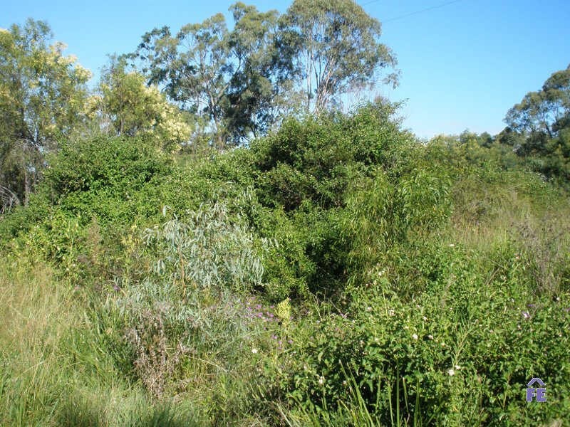 Lot 169 Parker Road, Ellesmere QLD 4610