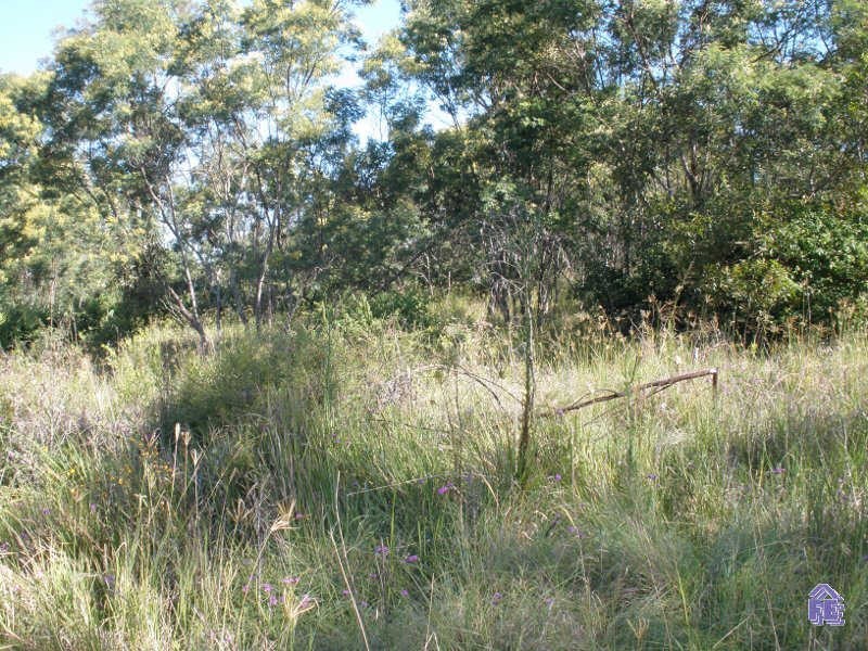Lot 169 Parker Road, Ellesmere QLD 4610