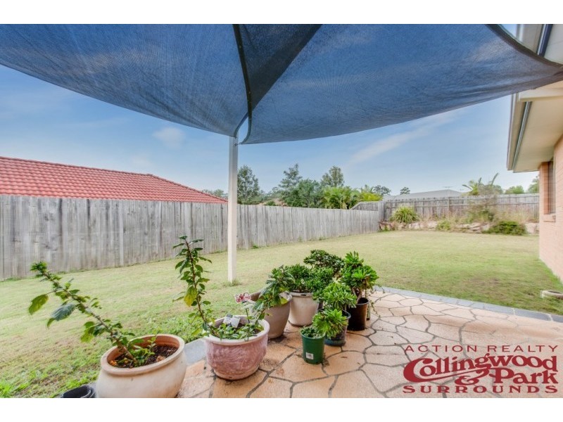 5 Collins Street, Collingwood Park QLD 4301