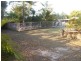 41 Paul Tully Avenue, Collingwood Park QLD 4301