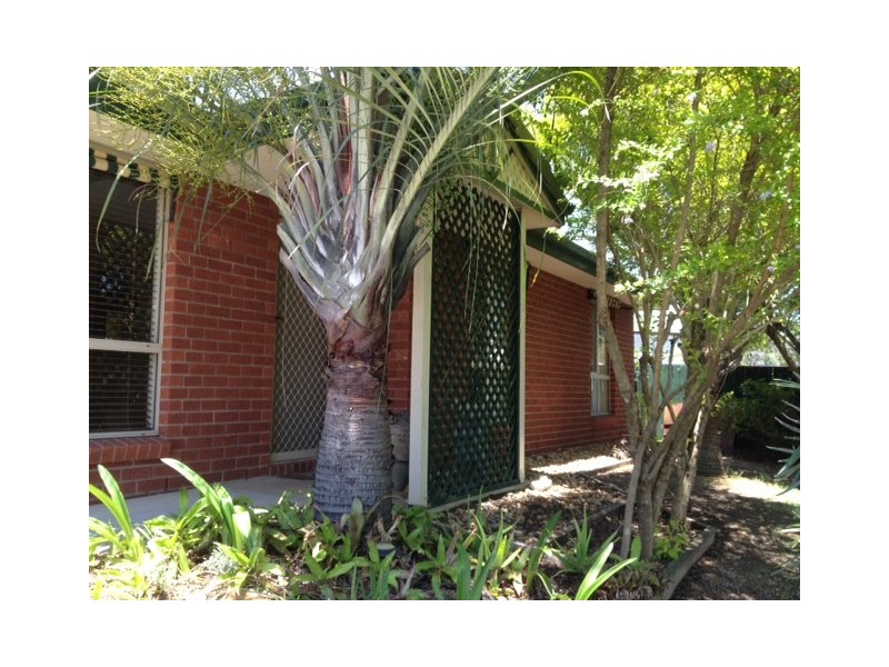 11 Avoca Court, Collingwood Park QLD 4301
