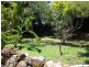 11 Avoca Court, Collingwood Park QLD 4301