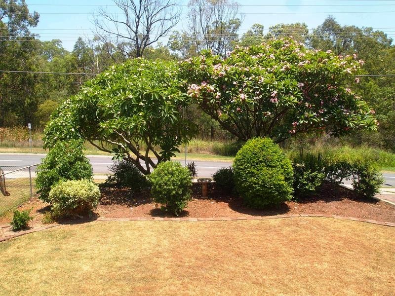 84 Old Ipswich Road, Riverview QLD 4303
