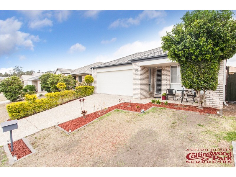 103 Collins Street, Collingwood Park QLD 4301