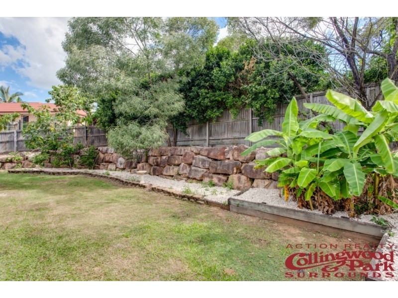 67 Gibbs Ave, Collingwood Park QLD 4301