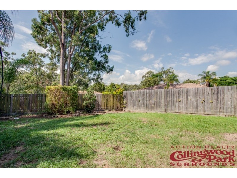 64 Lawrie Drive, Collingwood Park QLD 4301