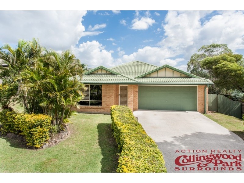 13 Buckland Court, Collingwood Park QLD 4301