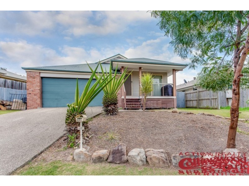291 Eagle Street, Collingwood Park QLD 4301