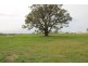 Ningi QLD 4511