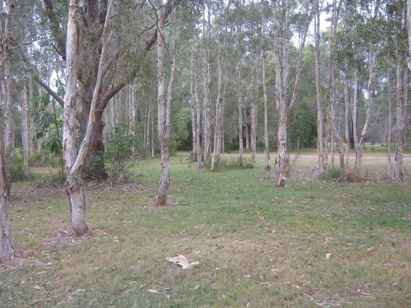 13 Ranald Avenue, Ningi QLD 4511