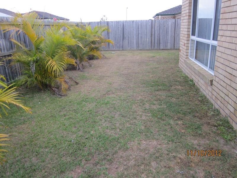 26 Murraya Drive, Morayfield QLD 4506