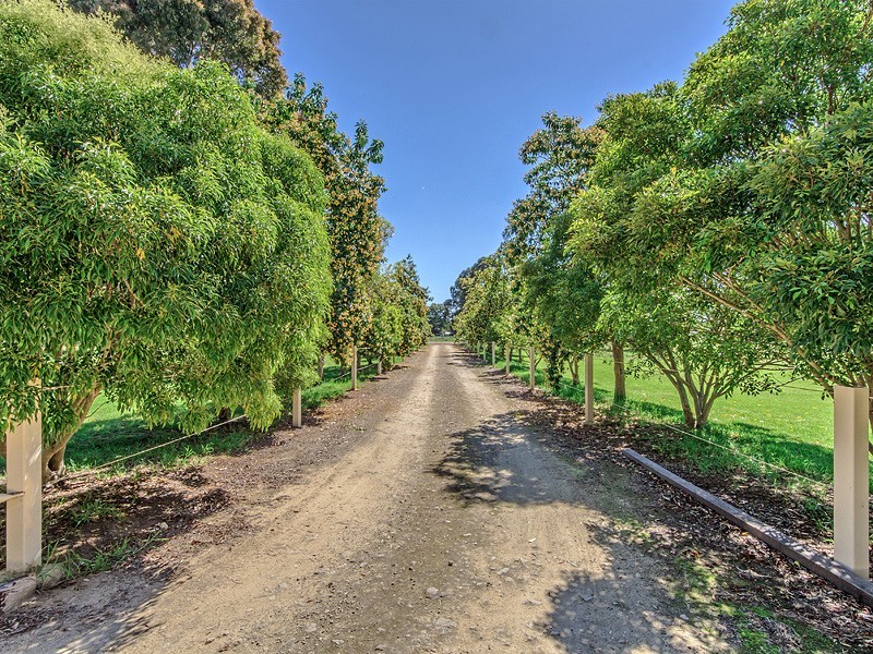 19 Bernborough Way, Darling Downs WA 6122