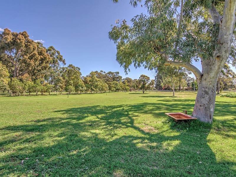 19 Bernborough Way, Darling Downs WA 6122