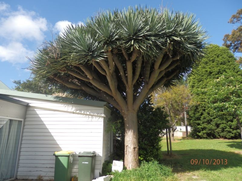 83 Owtram Rd, Armadale WA 6112