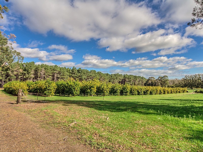 229 Scarp Rd, Keysbrook WA 6126