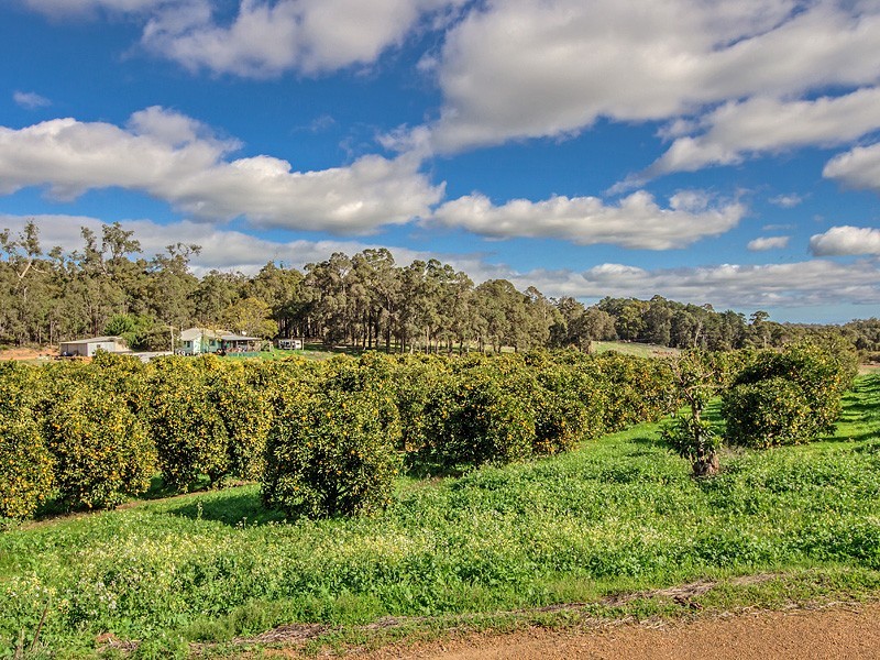 229 Scarp Rd, Keysbrook WA 6126