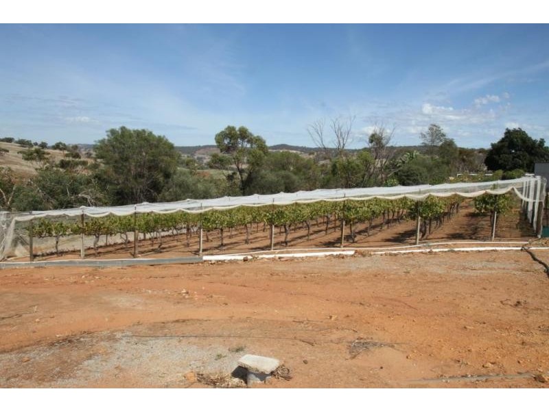 50 Coondle Dr, Toodyay WA 6566