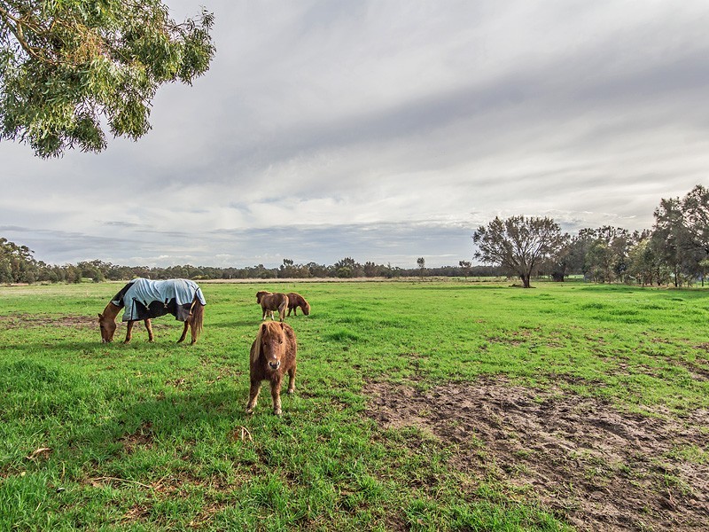 364 Summerfield Rd, Mardella WA 6125