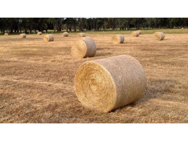 364 Summerfield Rd, Mardella WA 6125