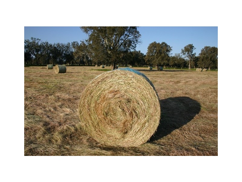 364 Summerfield Rd, Mardella WA 6125