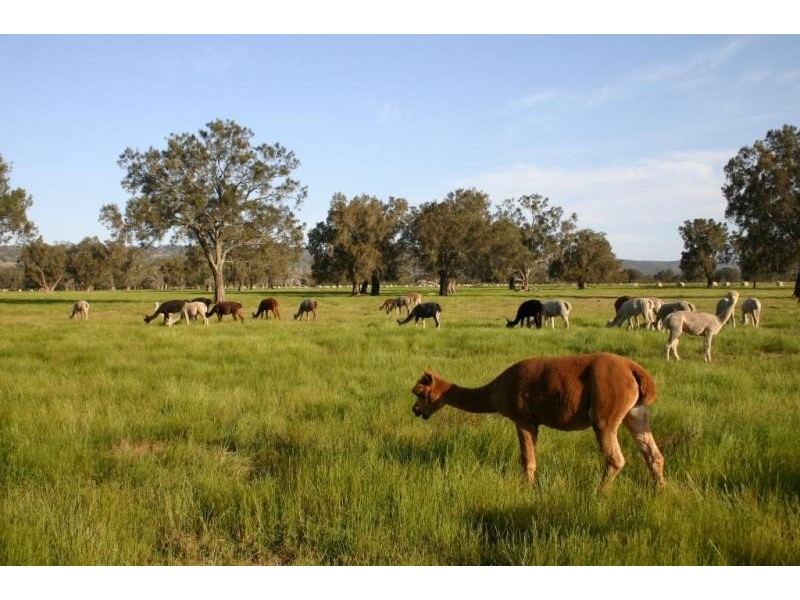 364 Summerfield Rd, Mardella WA 6125