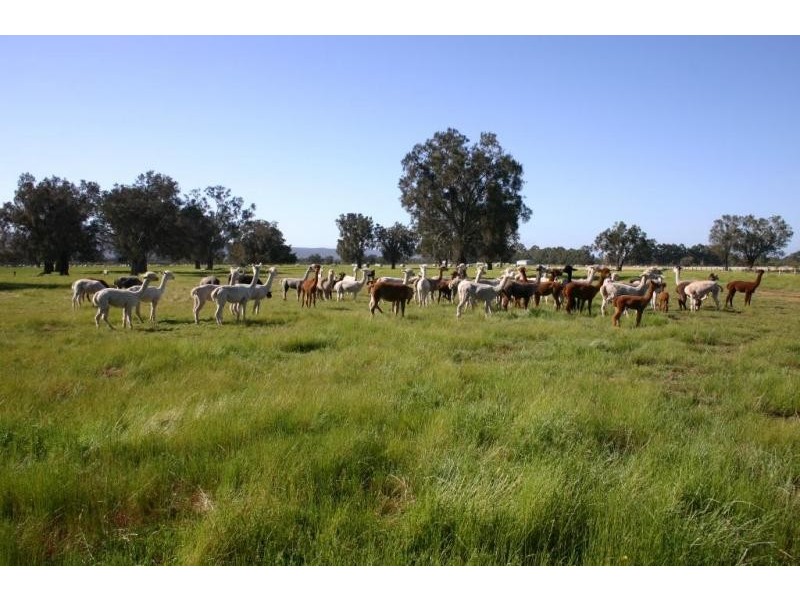 364 Summerfield Rd, Mardella WA 6125