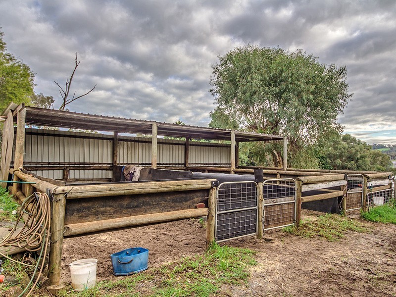 16 Hetherington Close, Jarrahdale WA 6124