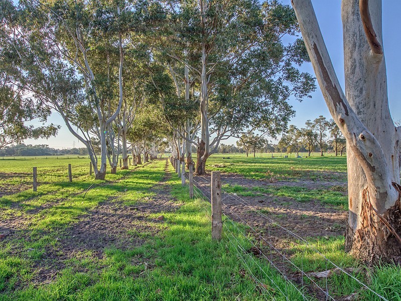 582 Henderson Rd, Hopeland WA 6125