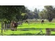 237 Lowlands Rd, Mardella WA 6125