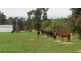 237 Lowlands Rd, Mardella WA 6125