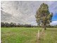 173 Jubb Rd, Jarrahdale WA 6124