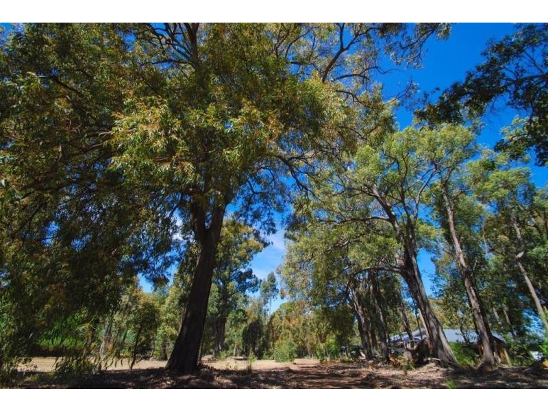 23 Hibbertia Court, Jarrahdale WA 6124