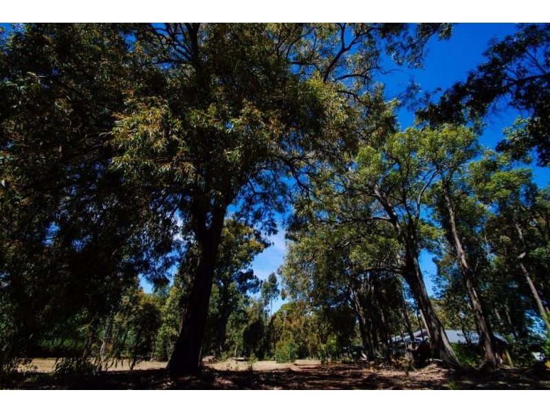 23 Hibbertia Court, Jarrahdale WA 6124