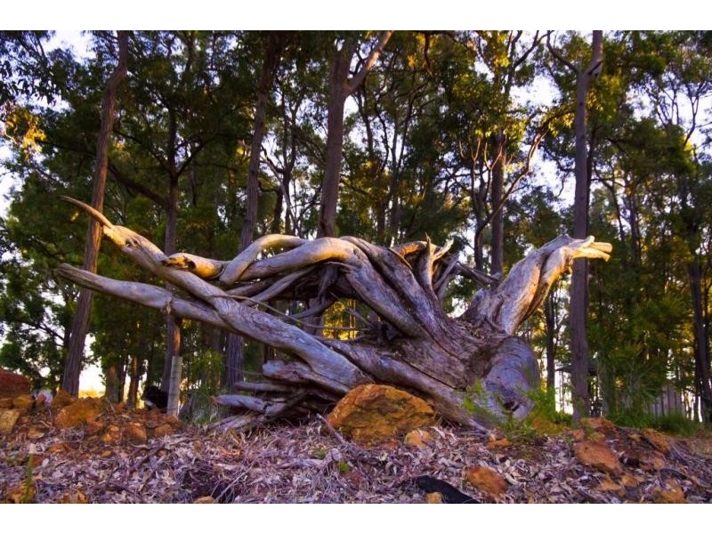 23 Hibbertia Court, Jarrahdale WA 6124