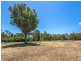 70 Linton Street, Byford WA 6122