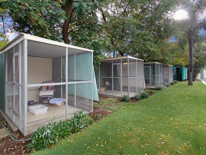 11 Passmore Street, Southern River WA 6110