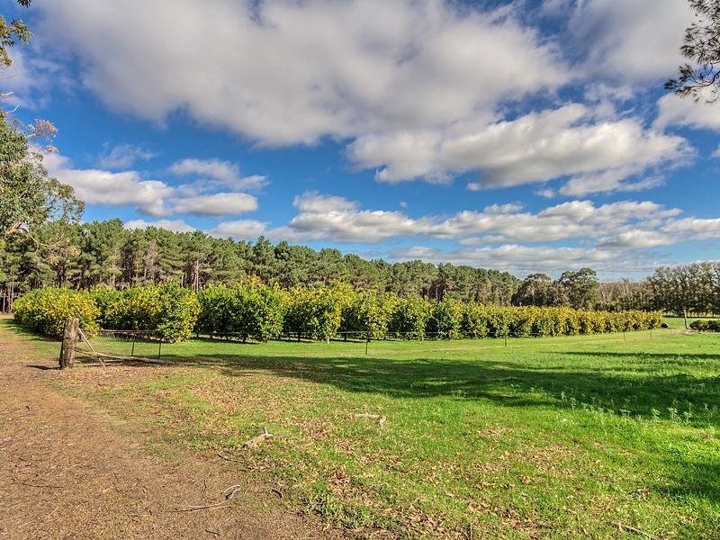 229 Scarp Rd, Keysbrook WA 6126