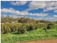229 Scarp Rd, Keysbrook WA 6126