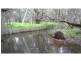 237 Lowlands Rd, Mardella WA 6125