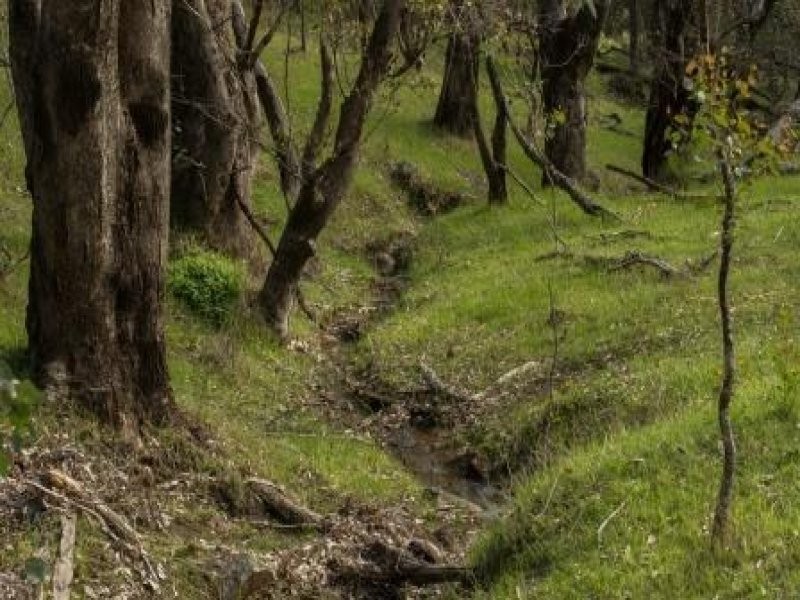 North Dandalup WA 6207