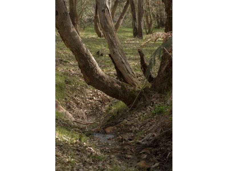 North Dandalup WA 6207