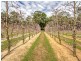 2264 Kingsbury Drive, Jarrahdale WA 6124