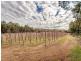 2264 Kingsbury Drive, Jarrahdale WA 6124