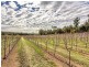 2264 Kingsbury Drive, Jarrahdale WA 6124