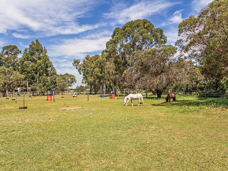 53 Craghill Way, Oakford WA 6121