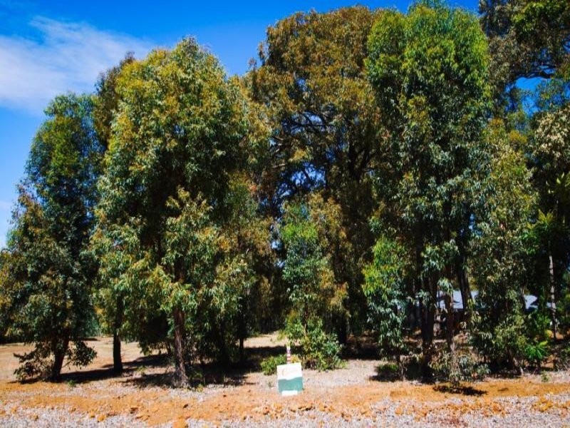 23 Hibbertia Court, Jarrahdale WA 6124