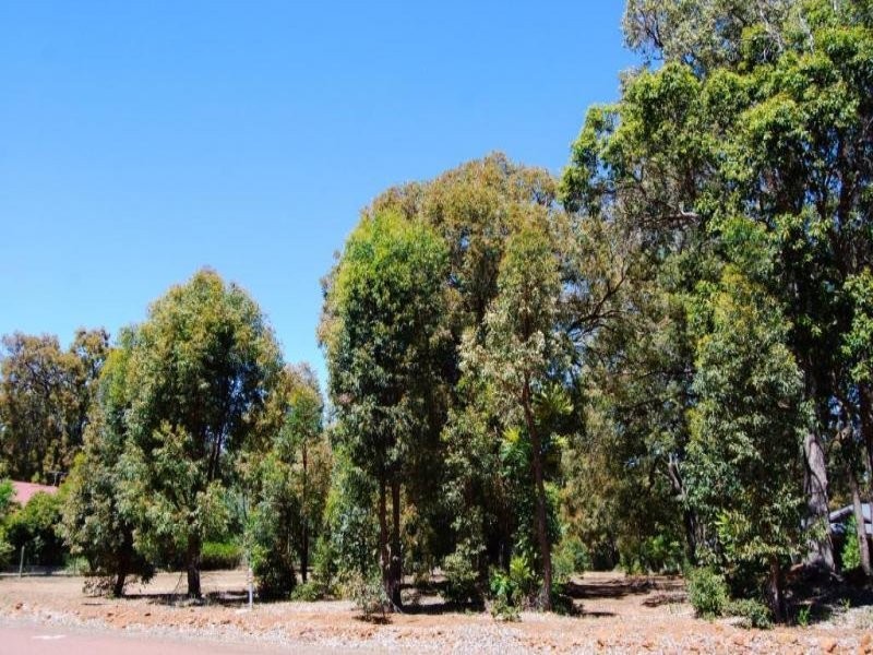 23 Hibbertia Court, Jarrahdale WA 6124