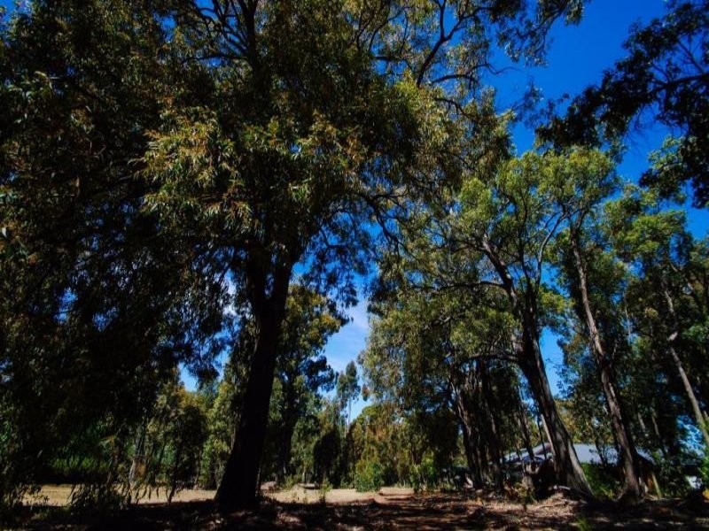 23 Hibbertia Court, Jarrahdale WA 6124