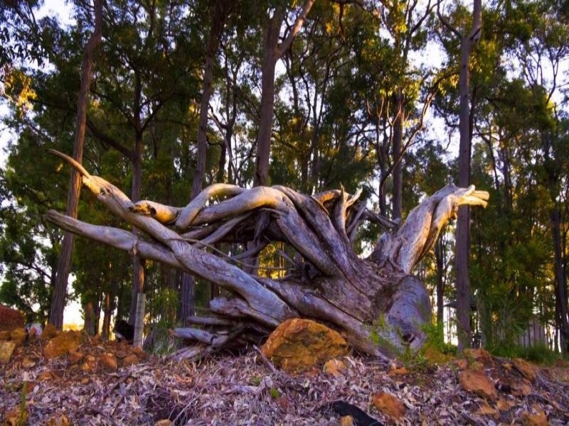 23 Hibbertia Court, Jarrahdale WA 6124