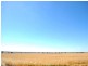 11-12 Olympic Way, Junee NSW 2663